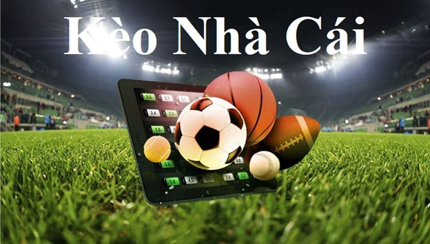 vi68-Tải app Android／IOS và thỏa sức khám phá!