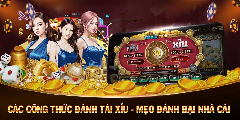 tải ku casino bitcoin casino 🎰 no deposit