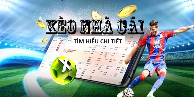 oxbet-Tận hưởng cảm giác tin cậy với trang cược xanh chín! oxbet-Tận hưởng cảm giác tin cậy với trang cược xanh chín!